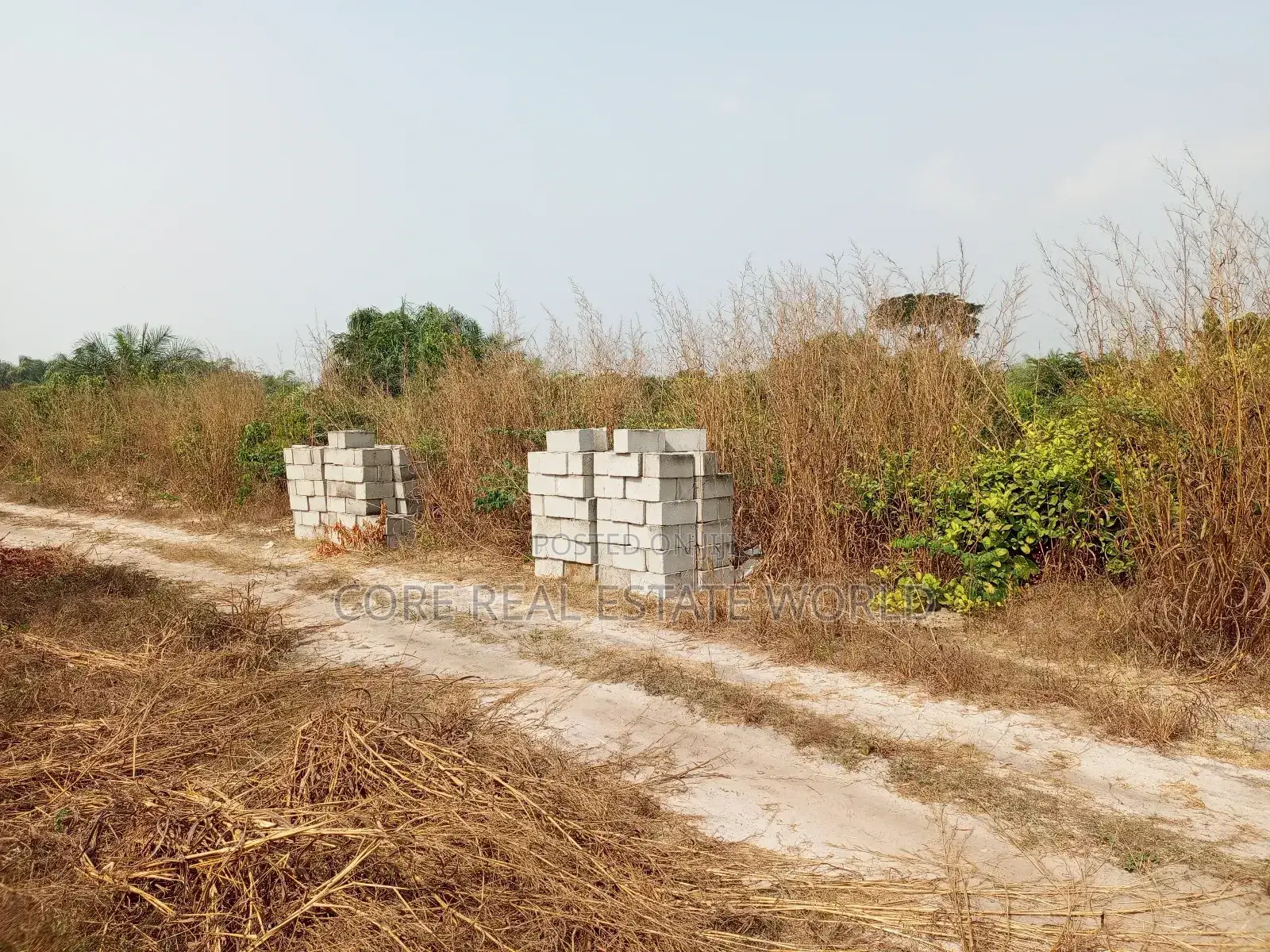 Buy and Build Land, Ogheghe Sapele Rd Benin Edo State in Benin City