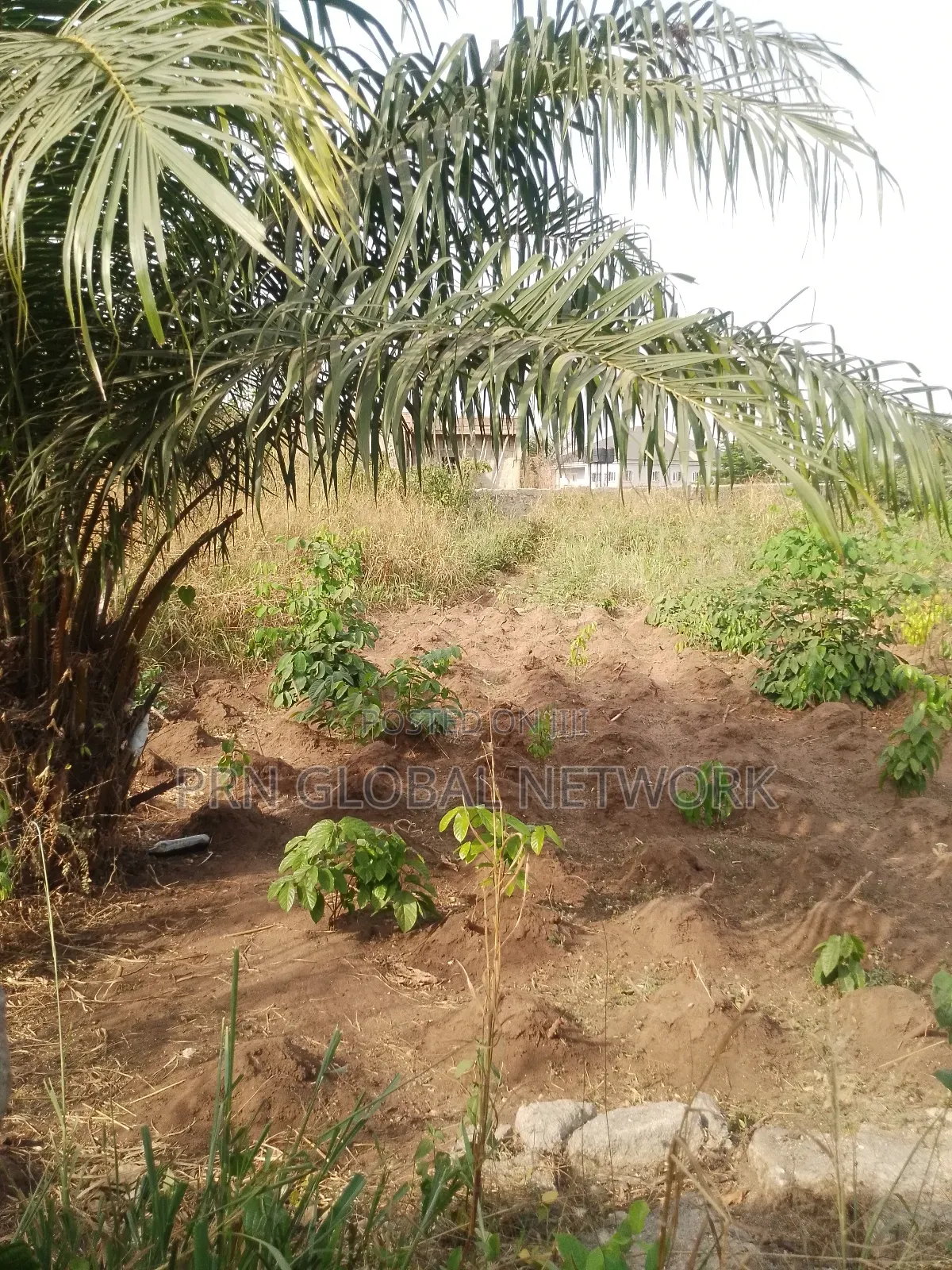 Above One Plot of Land in Owerri