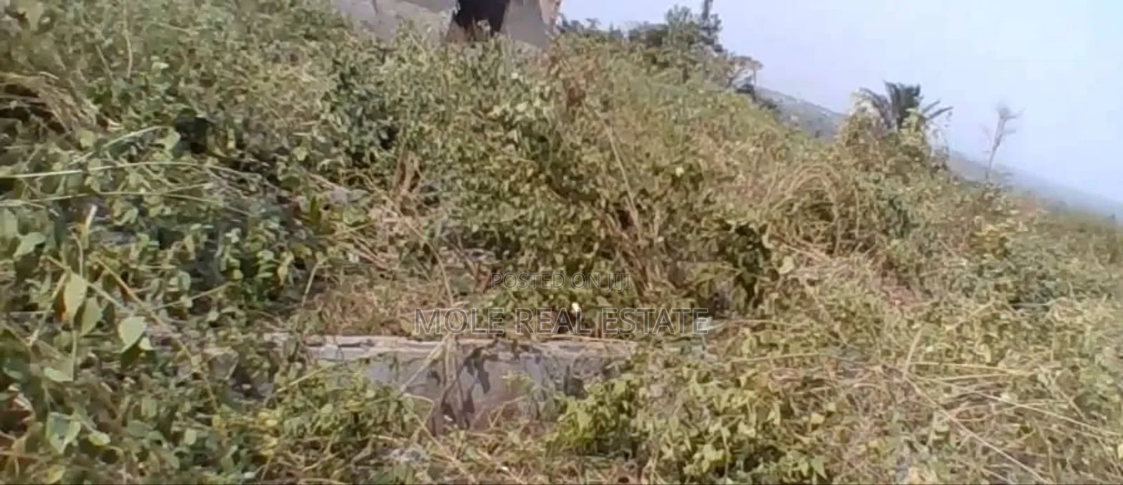 25ft By100ft Starter Plot Ijegun New Solar Estate in Ijegun