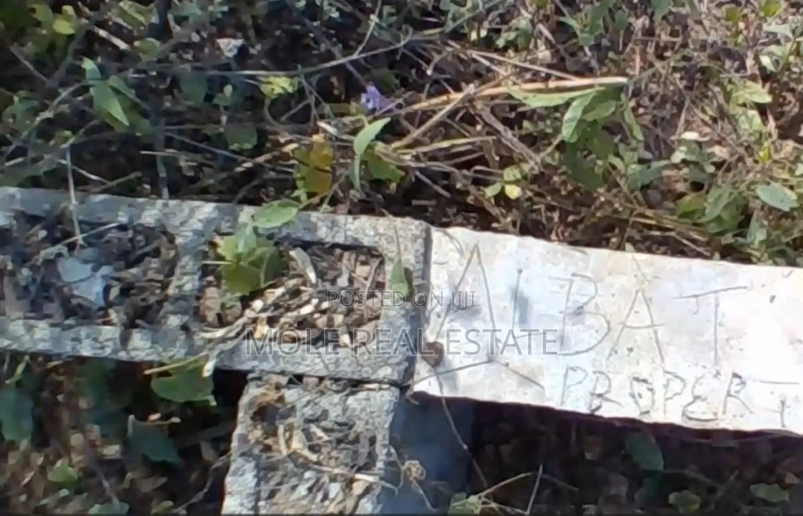 25ft by 50ft Silver Plot Ijegun New Estate Now Salling in Ijegun