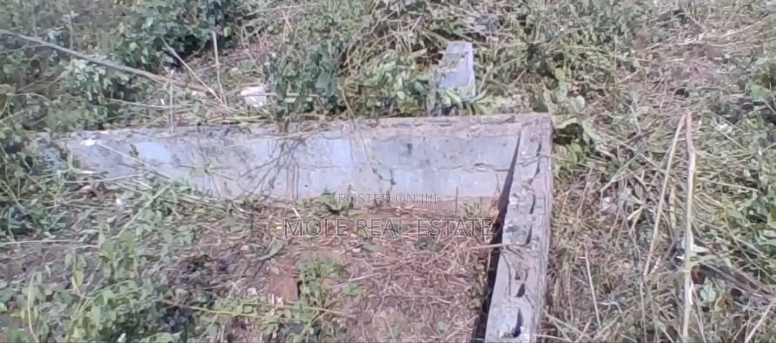 25ft By100ft Starter Plot Ijegun New Solar Estate in Ijegun