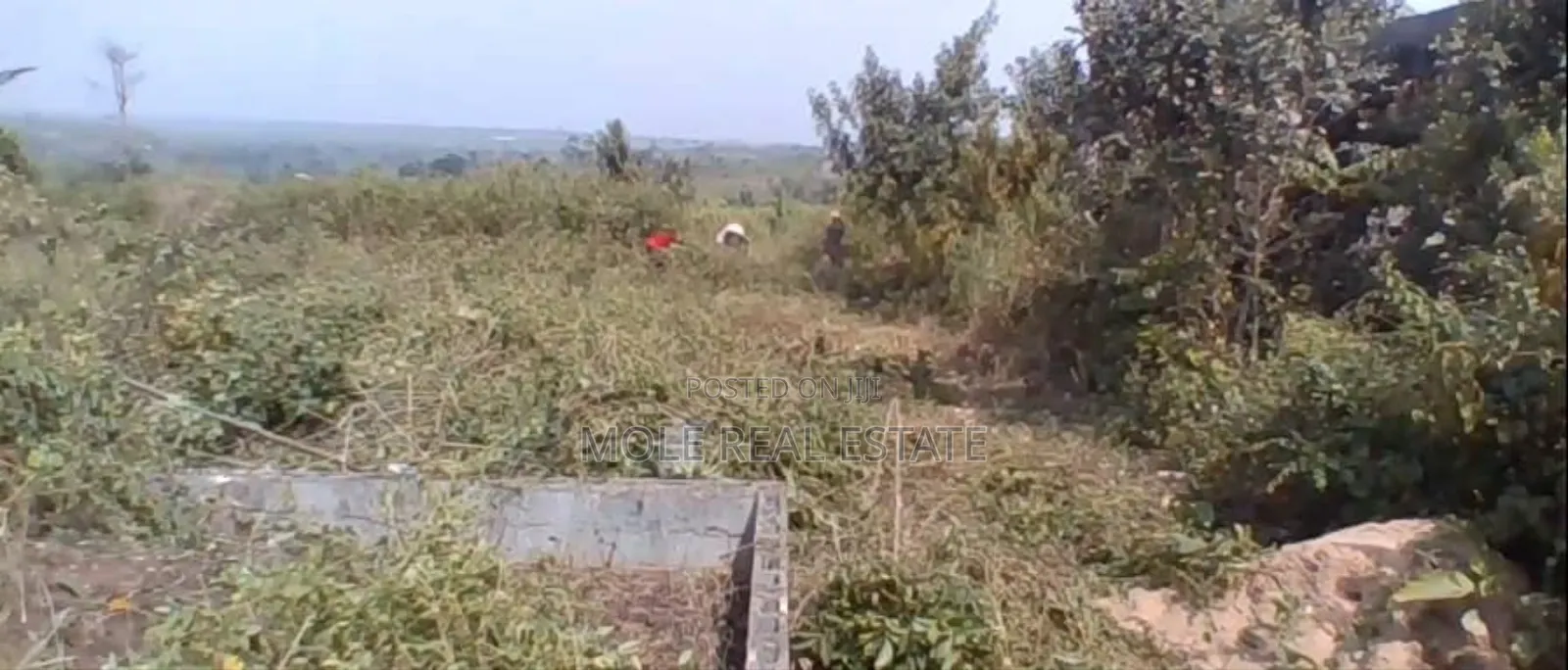 25ft By100ft Starter Plot Ijegun New Solar Estate in Ijegun