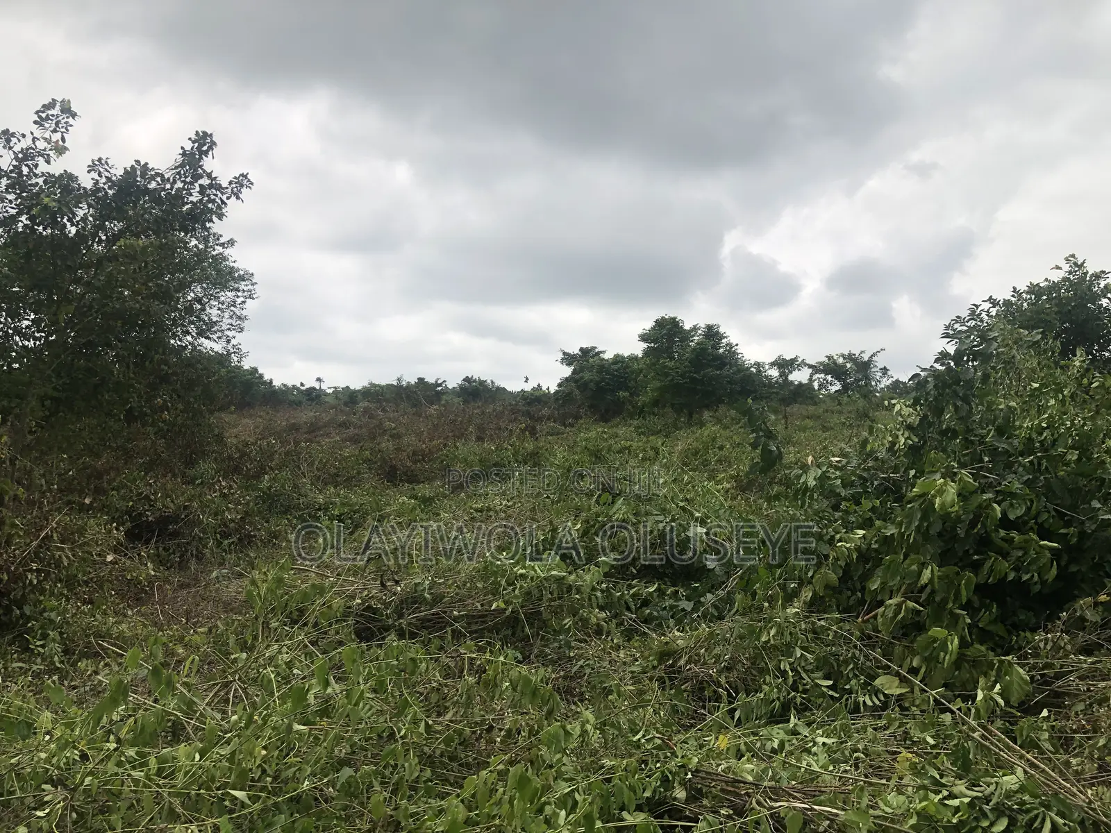 Agricultural Farmland Off Sagamu-Abeokuta Expressway in Obafemi-Owode
