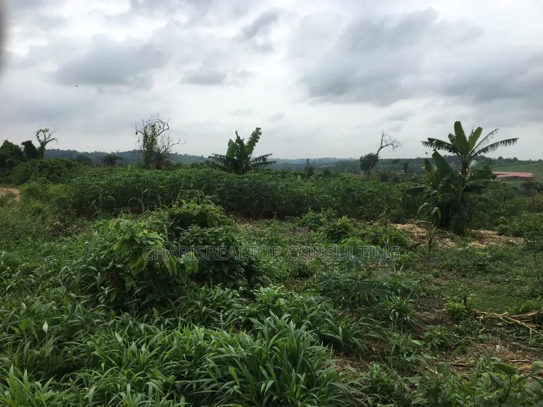 One Acres of Bareland in CHallenge / Ibadan