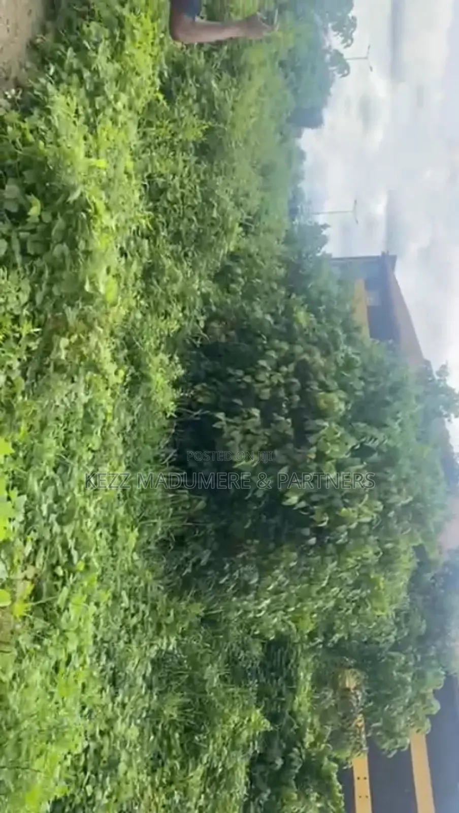For Sale: 6 Plots by Airport Roundabout, Omagwa ,Ph in Ikwerre