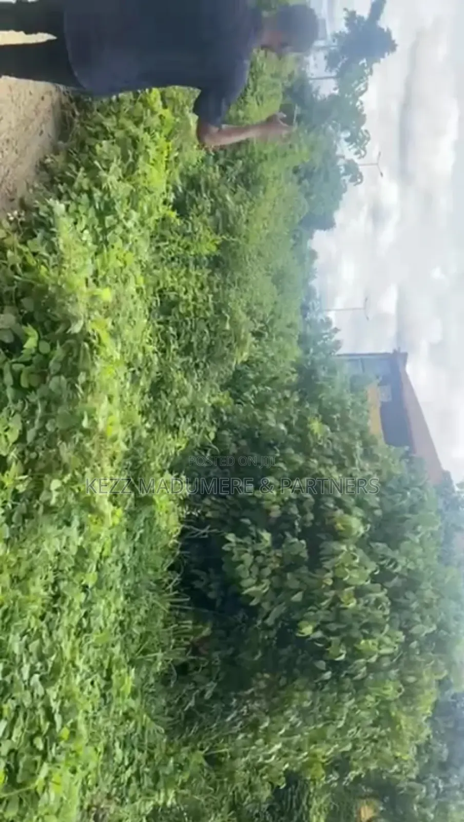 For Sale: 6 Plots by Airport Roundabout, Omagwa ,Ph in Ikwerre