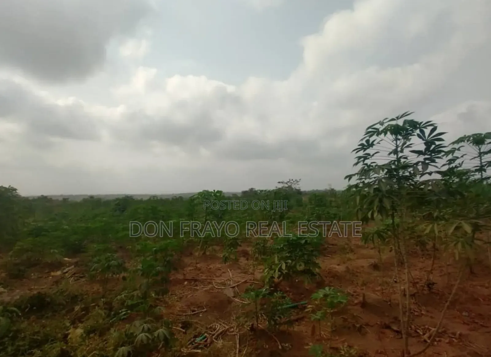 30 Acres Farmland for Sale at Ido / Eruwa Road Ibadan in Ibadan