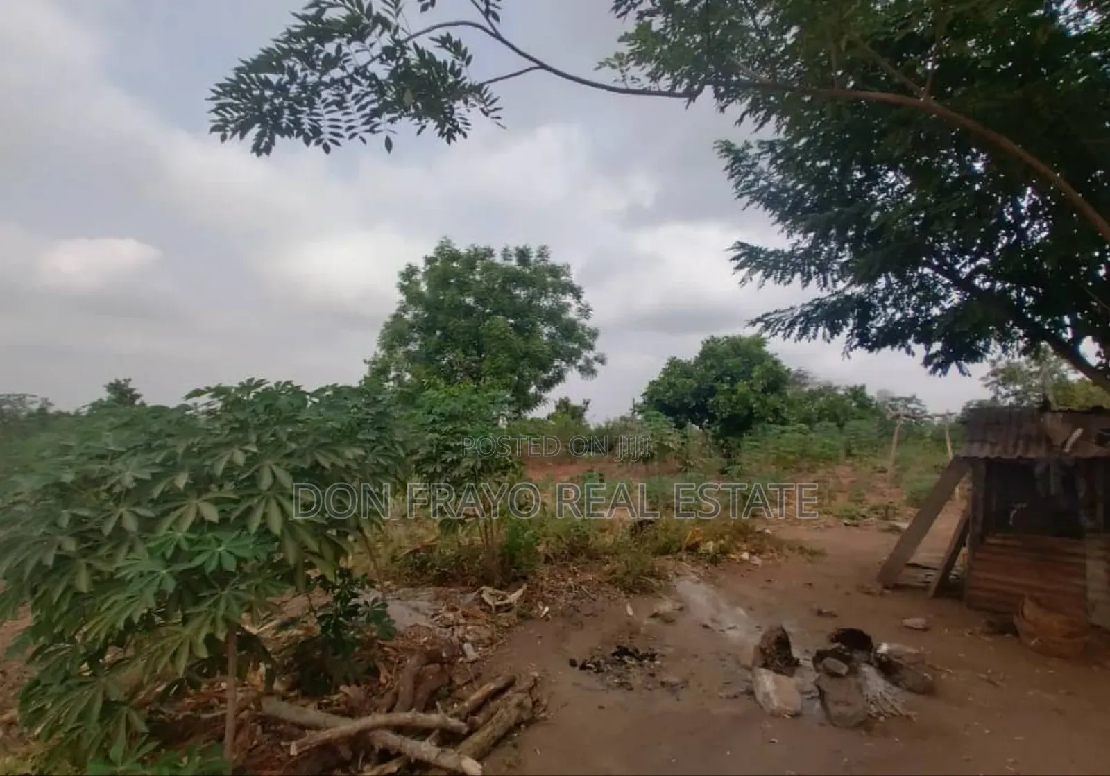 30 Acres Farmland for Sale at Ido / Eruwa Road Ibadan in Ibadan