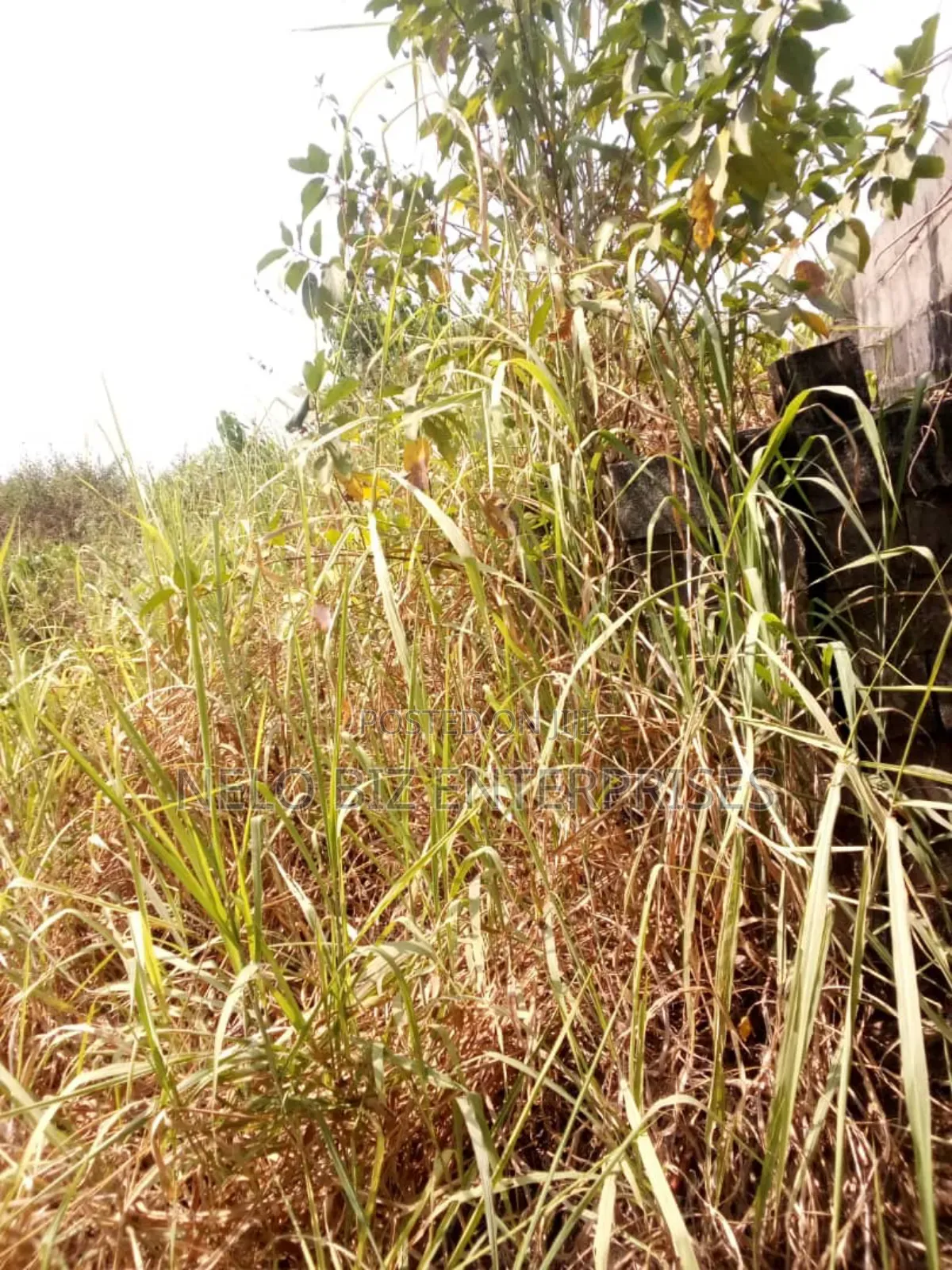 Virgin Land for Sale in Owerri