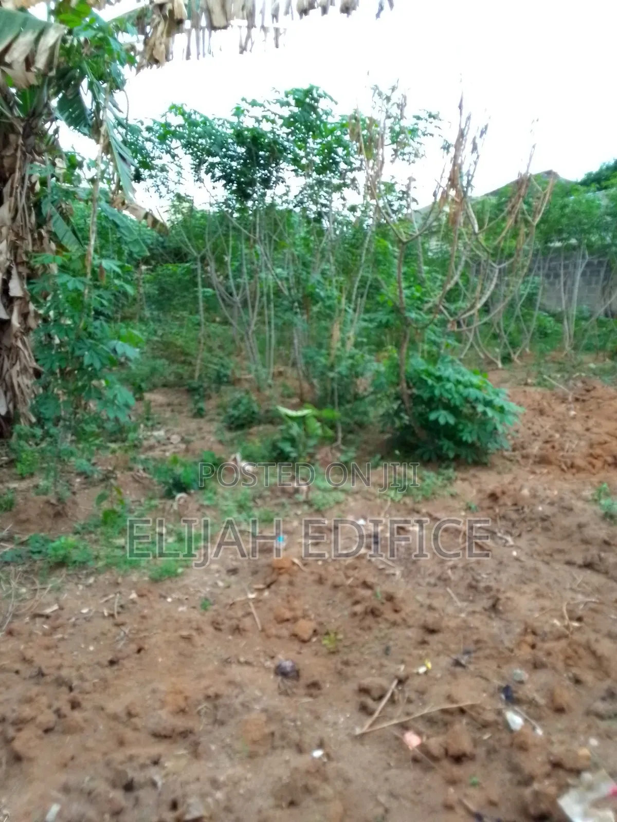 Fenced Full Plot of Land in Parkview Ijede Ikorodu. in Ikorodu