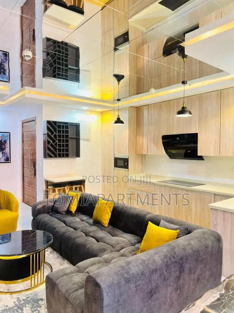 Stunning 2 Bedroom Shortlet With Pool Gym in Lekki Phase 1 in Lekki