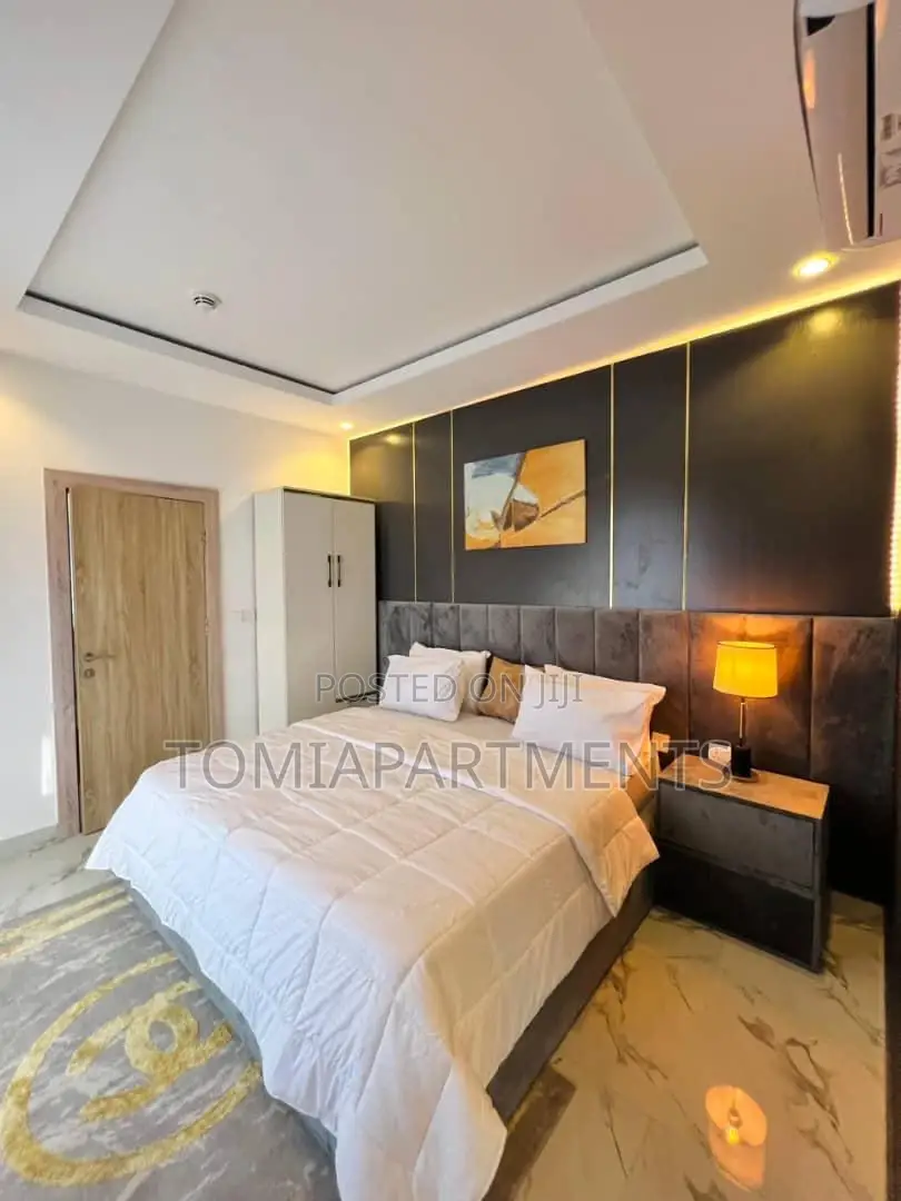 Stunning 2 Bedroom Shortlet With Pool Gym in Lekki Phase 1 in Lekki