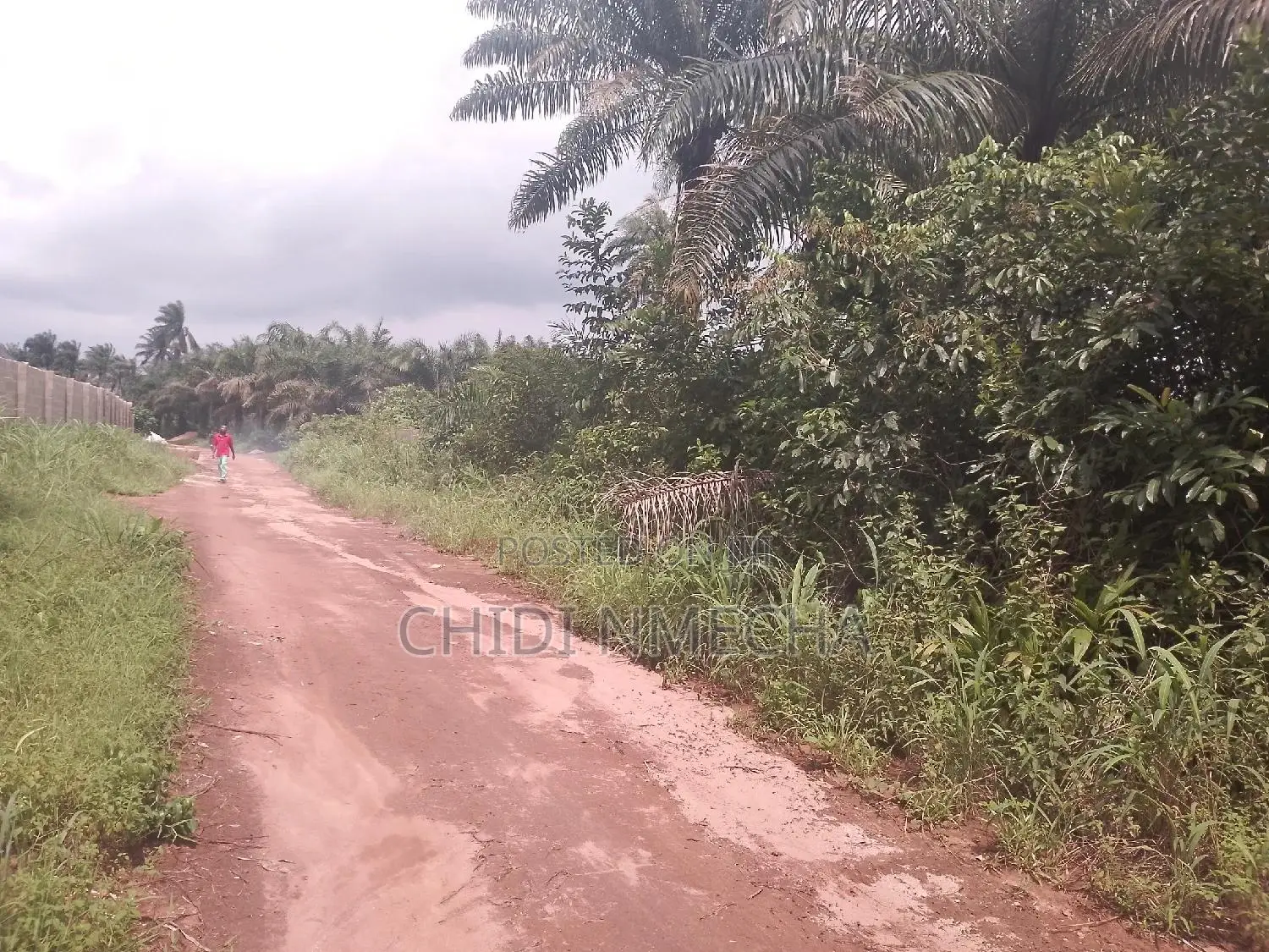 Plots of Land in Owerri