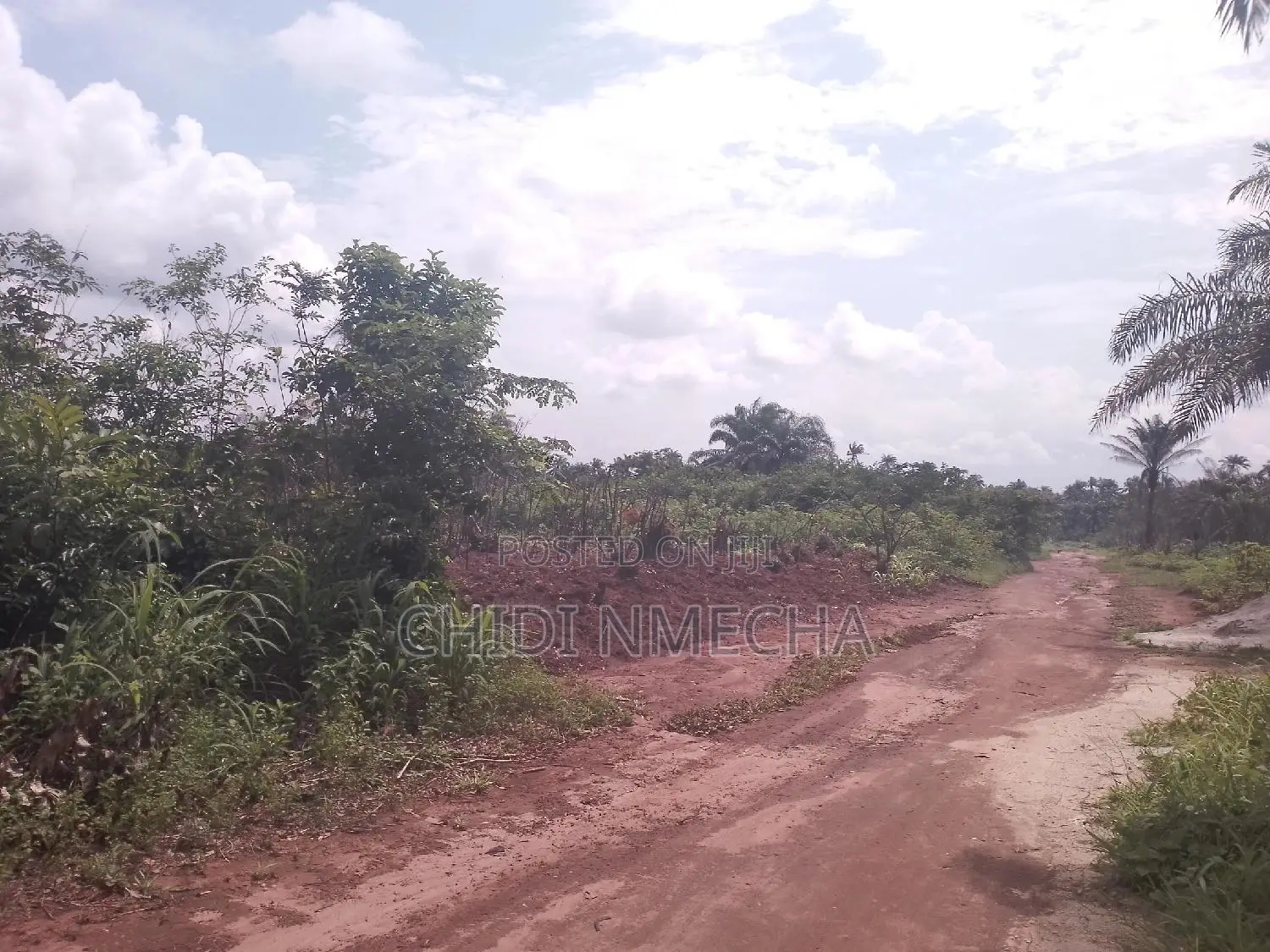Plots of Land in Owerri