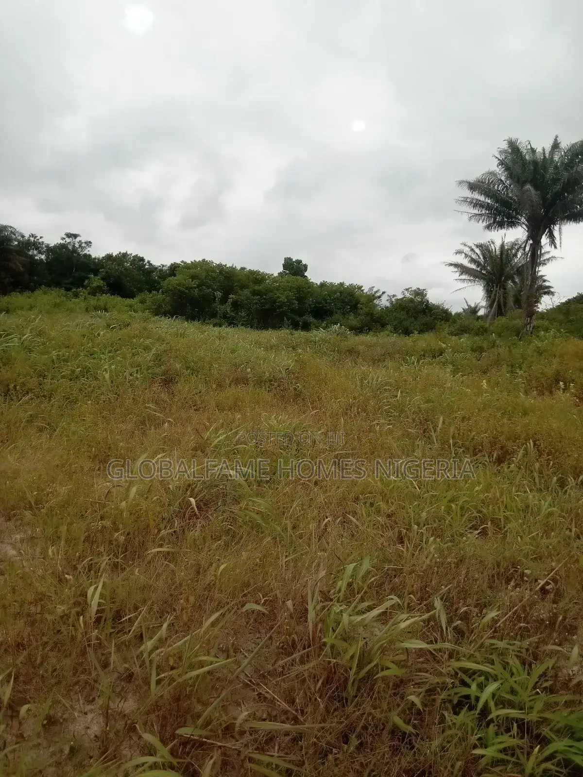 Land and Plot in Ibeju