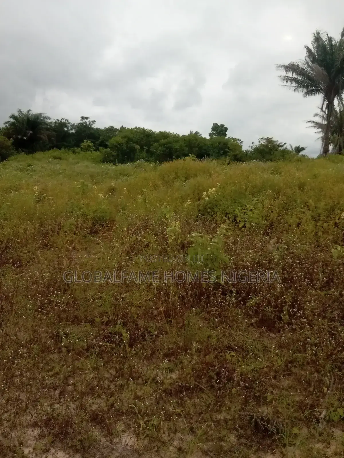 Land and Plot in Ibeju