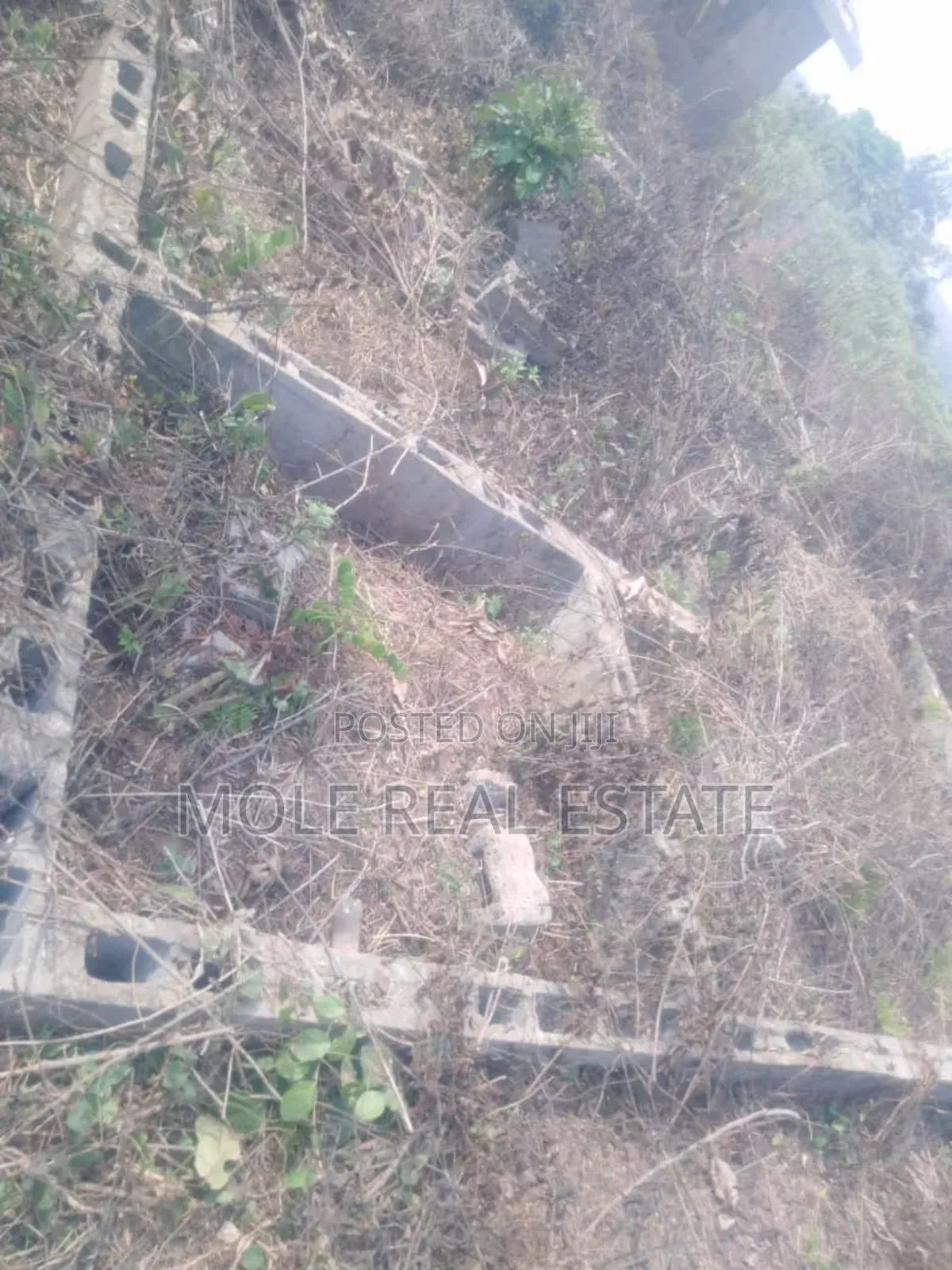 30ft by 120ft Half Plot at Bustop Ijegun Now Selling in Ijegun