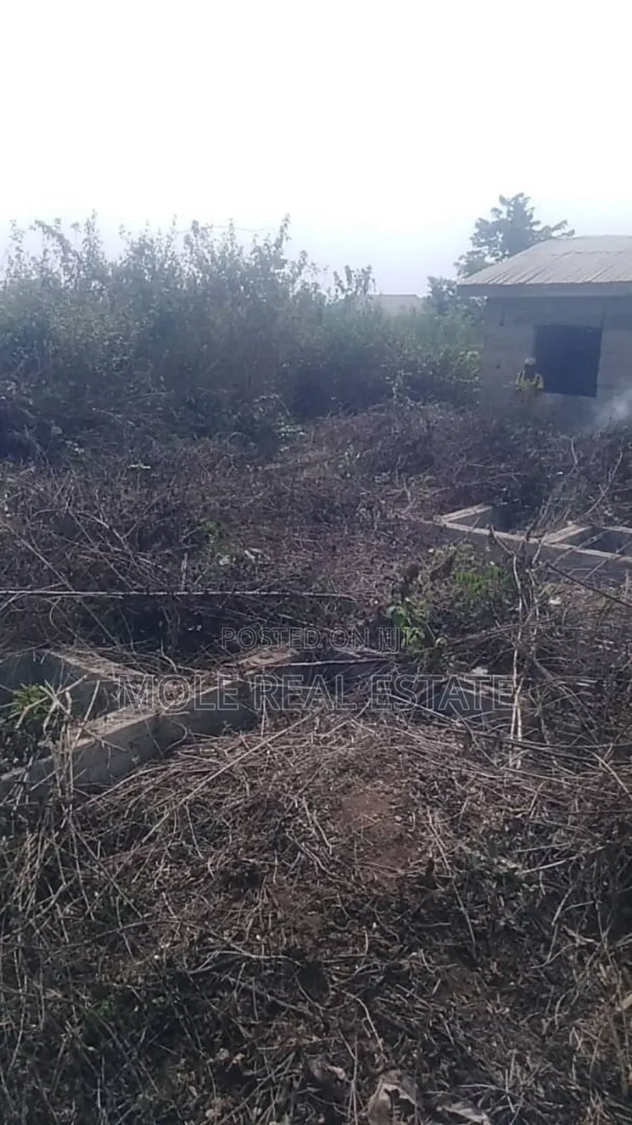 30ft by 120ft Private Plot Ijegun Close to the New RD in Ijegun