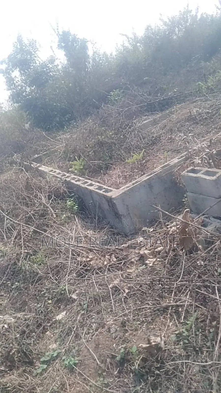 60ft by 120ft Full Plot at Bustop Ijegun Festac Link in Ijegun