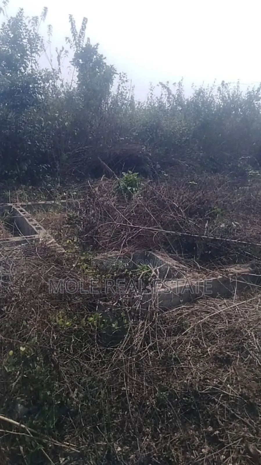 60ft by 120ft Full Plot at Bustop Ijegun Festac Link in Ijegun