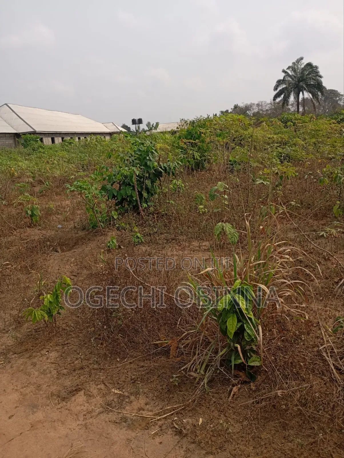 Distress Buy Build Genuine 20 Plots 4 Sale at Abara Etche in Port-Harcourt