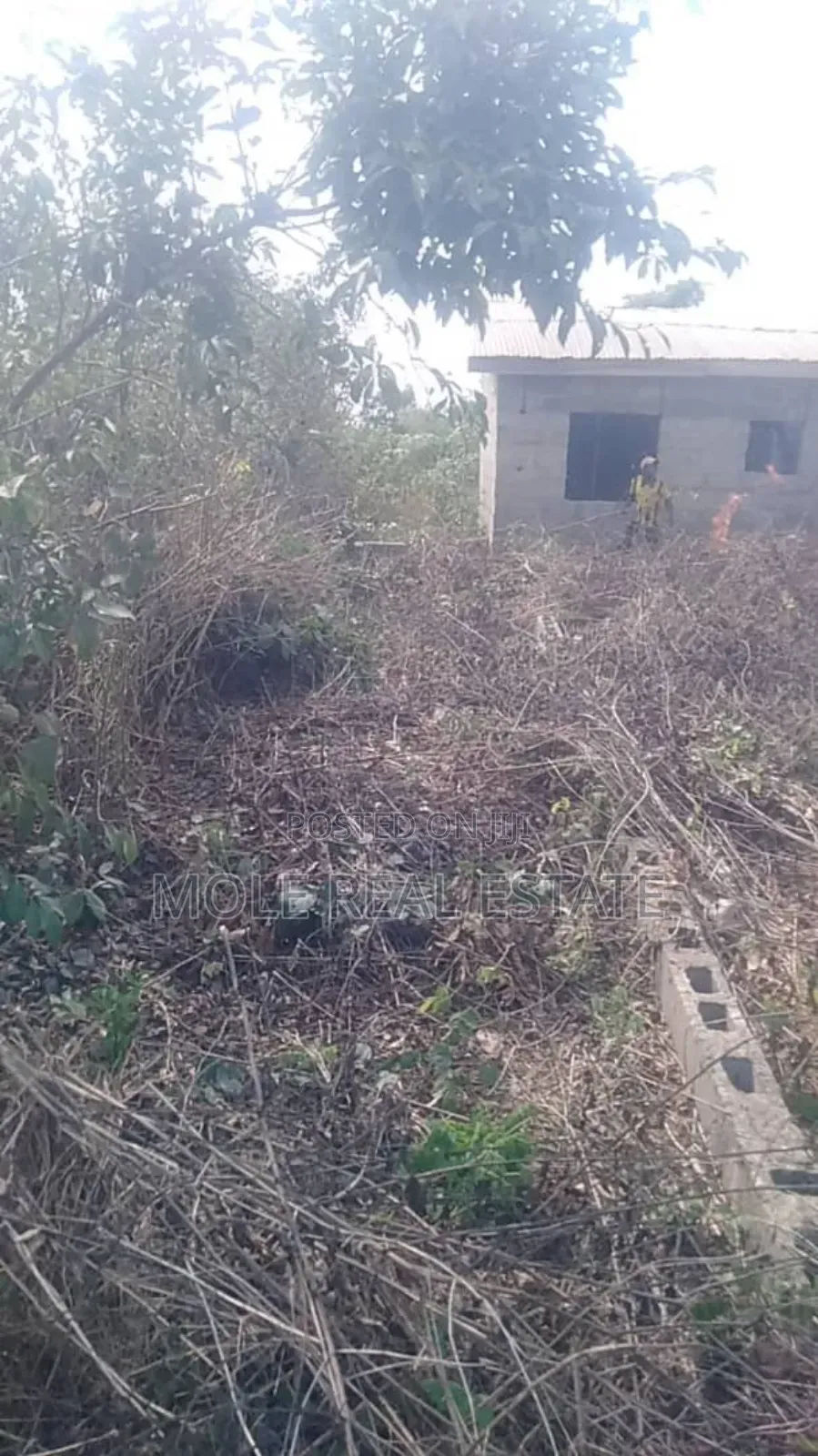 60ft by 120ft Agbowa Ikorodu DISTRESS Sale in Ikorodu