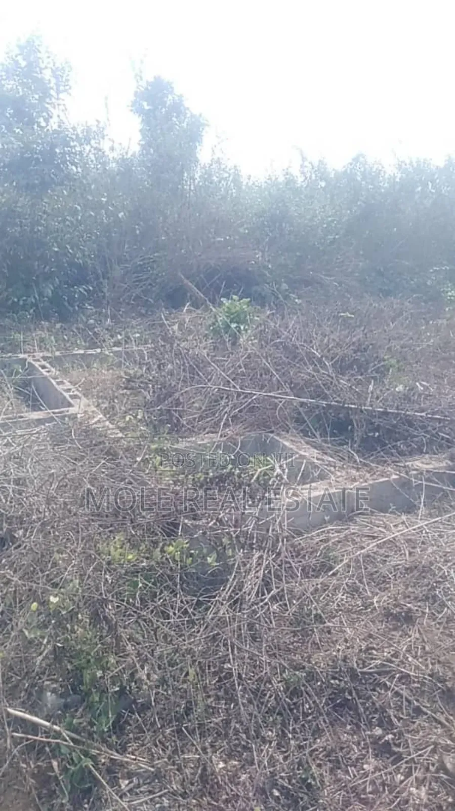 60ft by 120ft Agbowa Ikorodu DISTRESS Sale in Ikorodu
