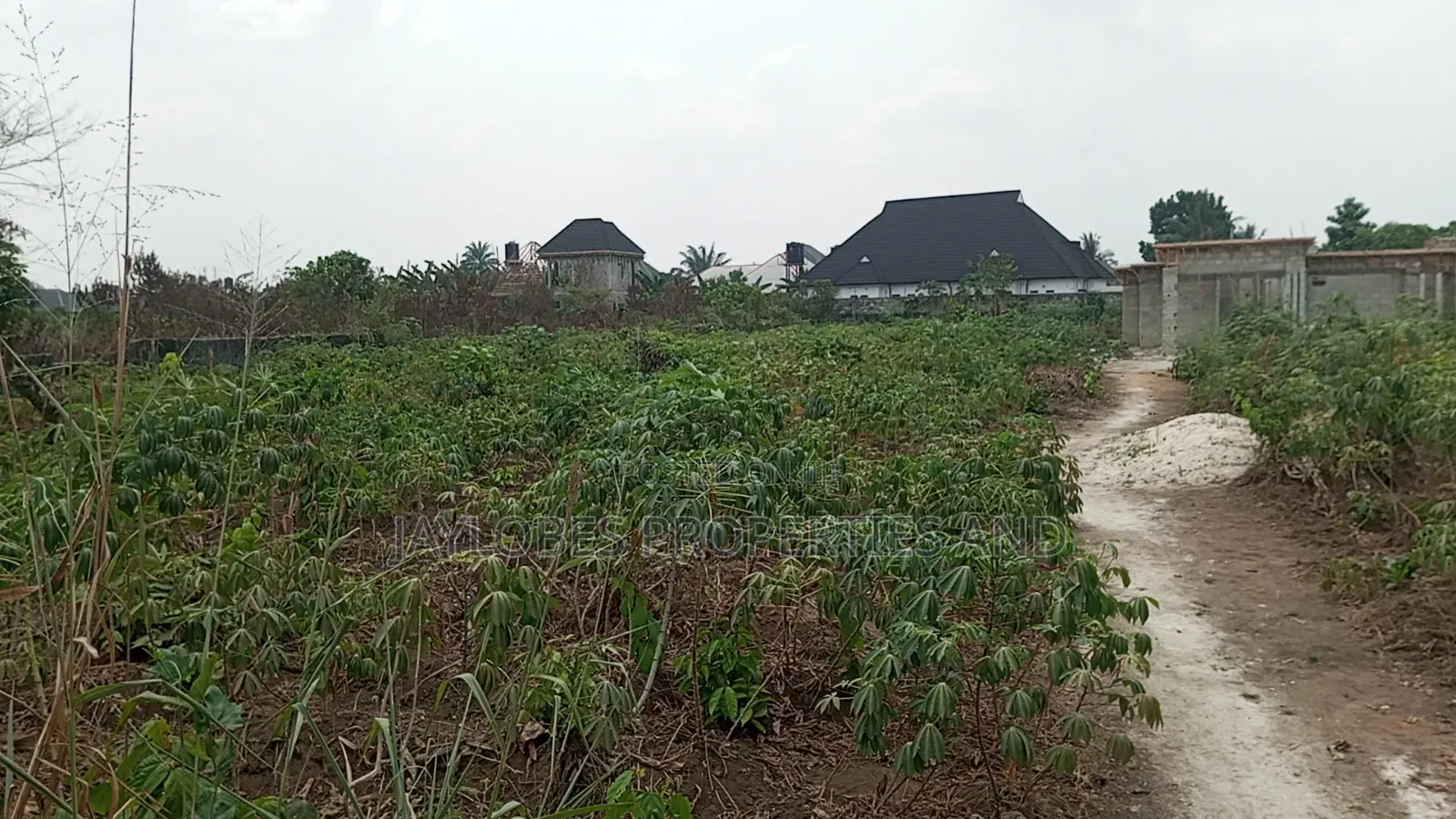 For Sale - 50 Plots Behind Omehia School, Igwuruta, PHC in Obio-Akpor