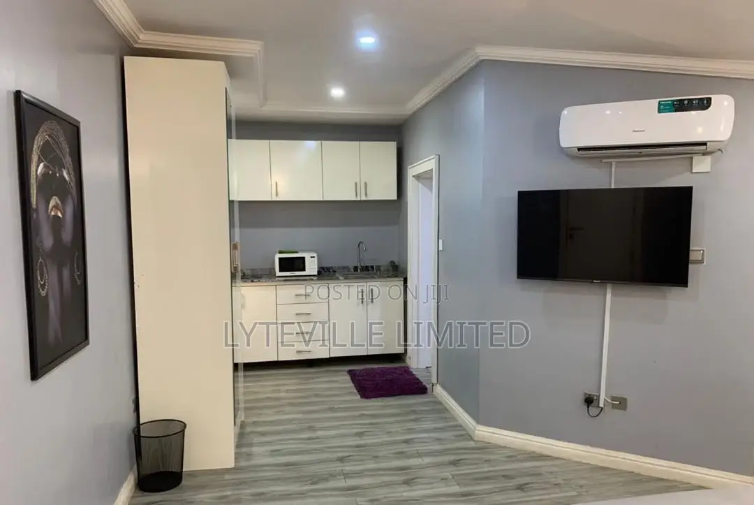 1 Bedroom With Rooftop in Utako