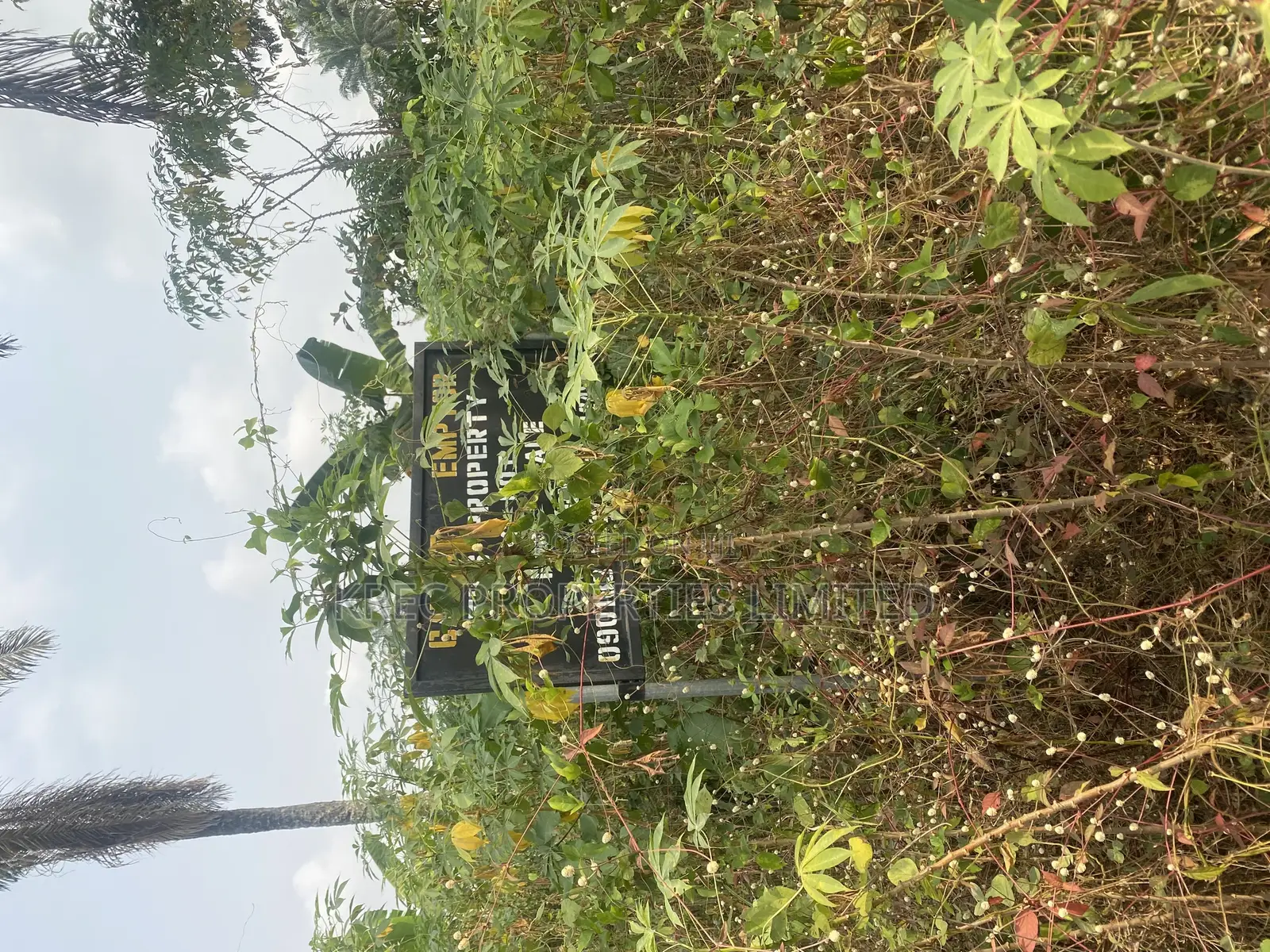 Iguruta-Ali PHC in Port-Harcourt