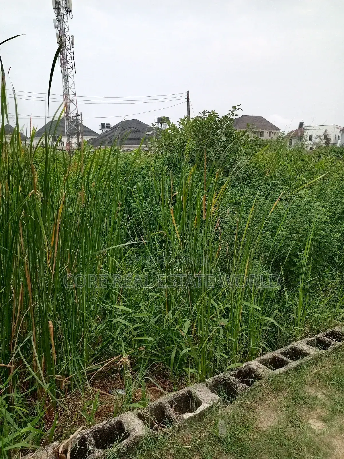 Buy and Build Land at Akodo Lagos State in Akodo