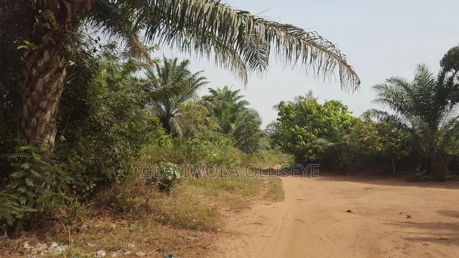 Agriculture and Farm Land for Sale in Ogun State ,Nigeria in Obafemi-Owode