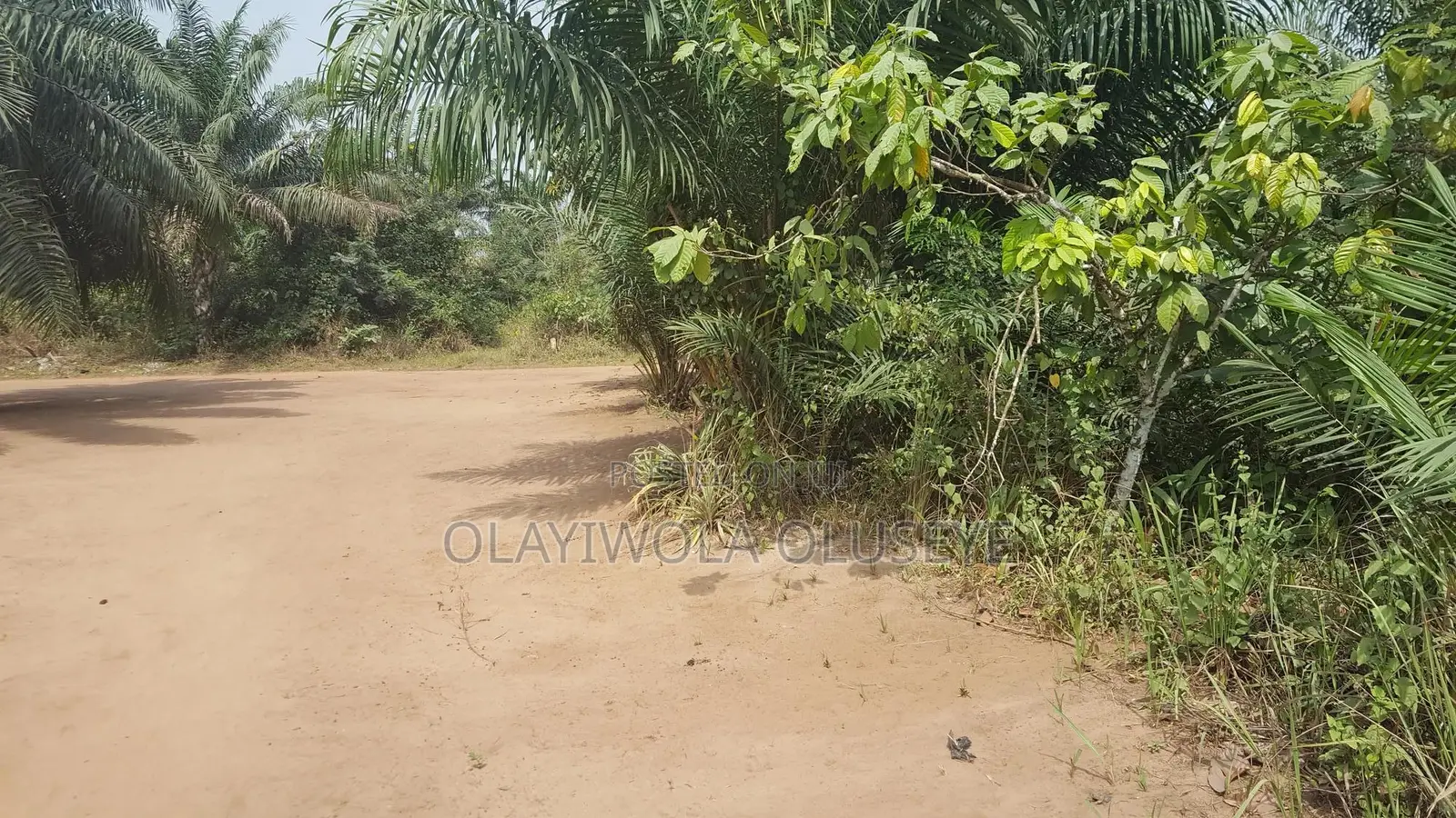 Agriculture and Farm Land for Sale in Ogun State ,Nigeria in Obafemi-Owode