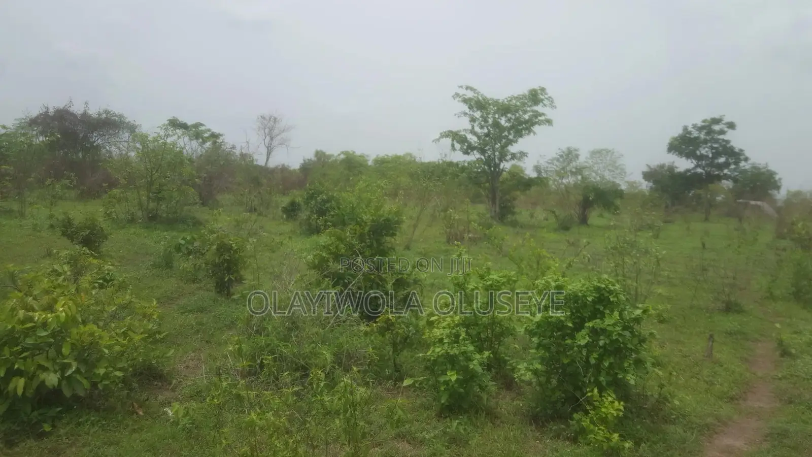Agriculture and Farm Land for Sale in Ogun State ,Nigeria in Obafemi-Owode