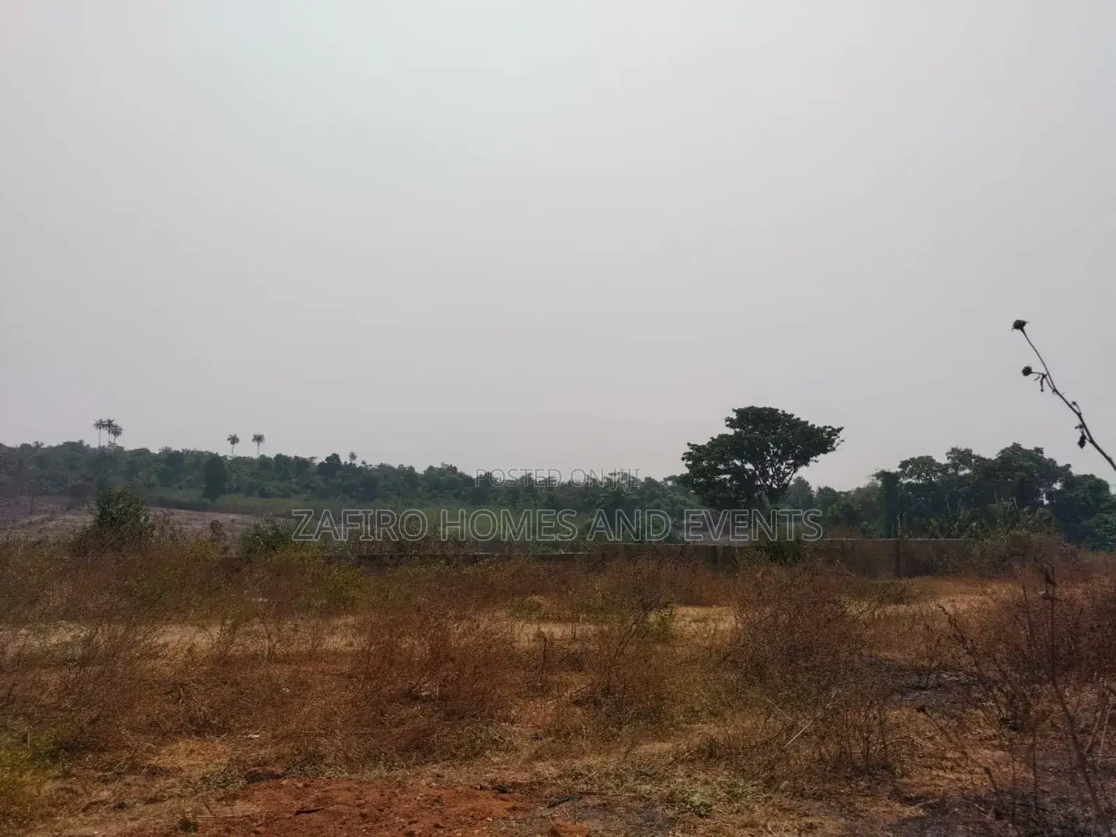 10,000 Acres of Land at Ajebo Opp Foursquare Camp Lagos Exp in Ibadan