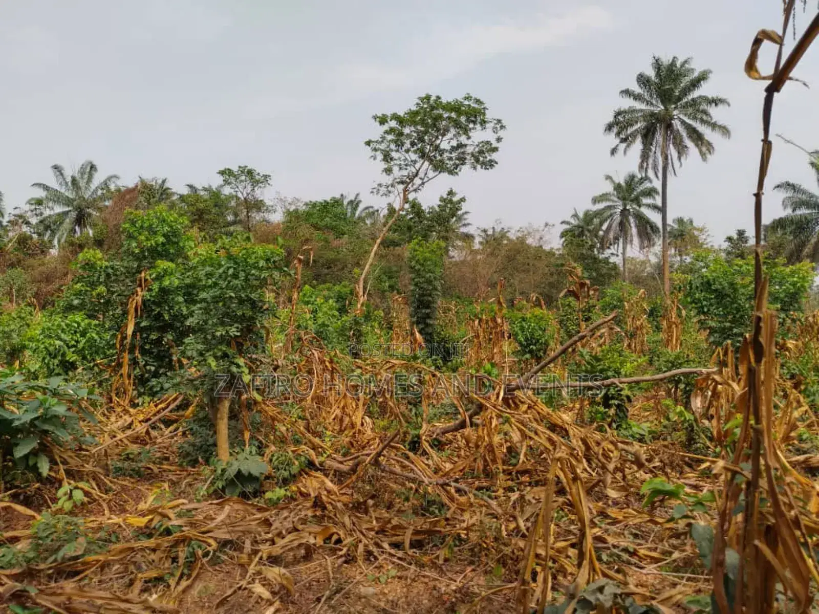 10 Acres of Fertile Farmland at Lagelu Secretariat Iyanaoffa in Ibadan