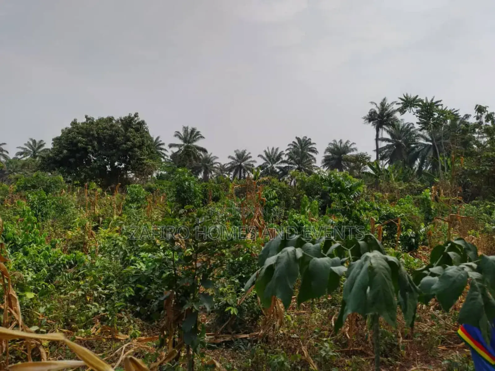 10 Acres of Fertile Farmland at Lagelu Secretariat Iyanaoffa in Ibadan