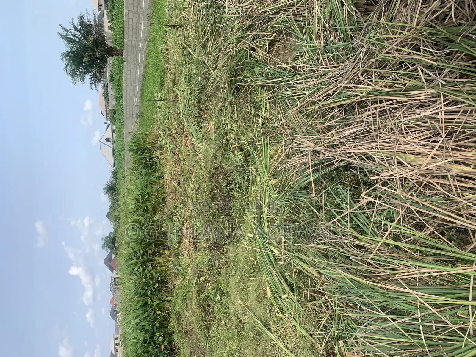 Full Plot of Land in Ikotun/Igando