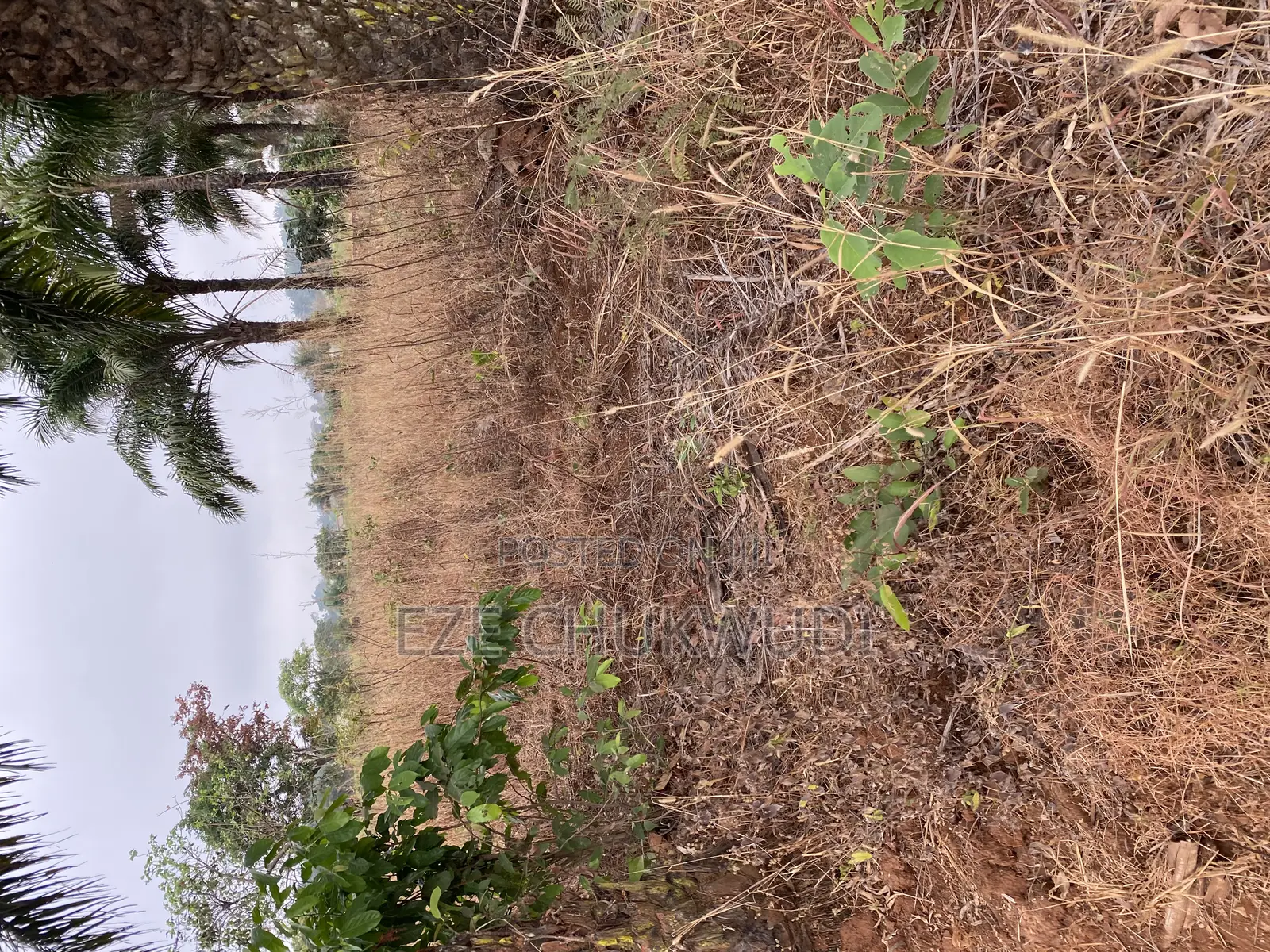 Available Plot of Land in Nsukka