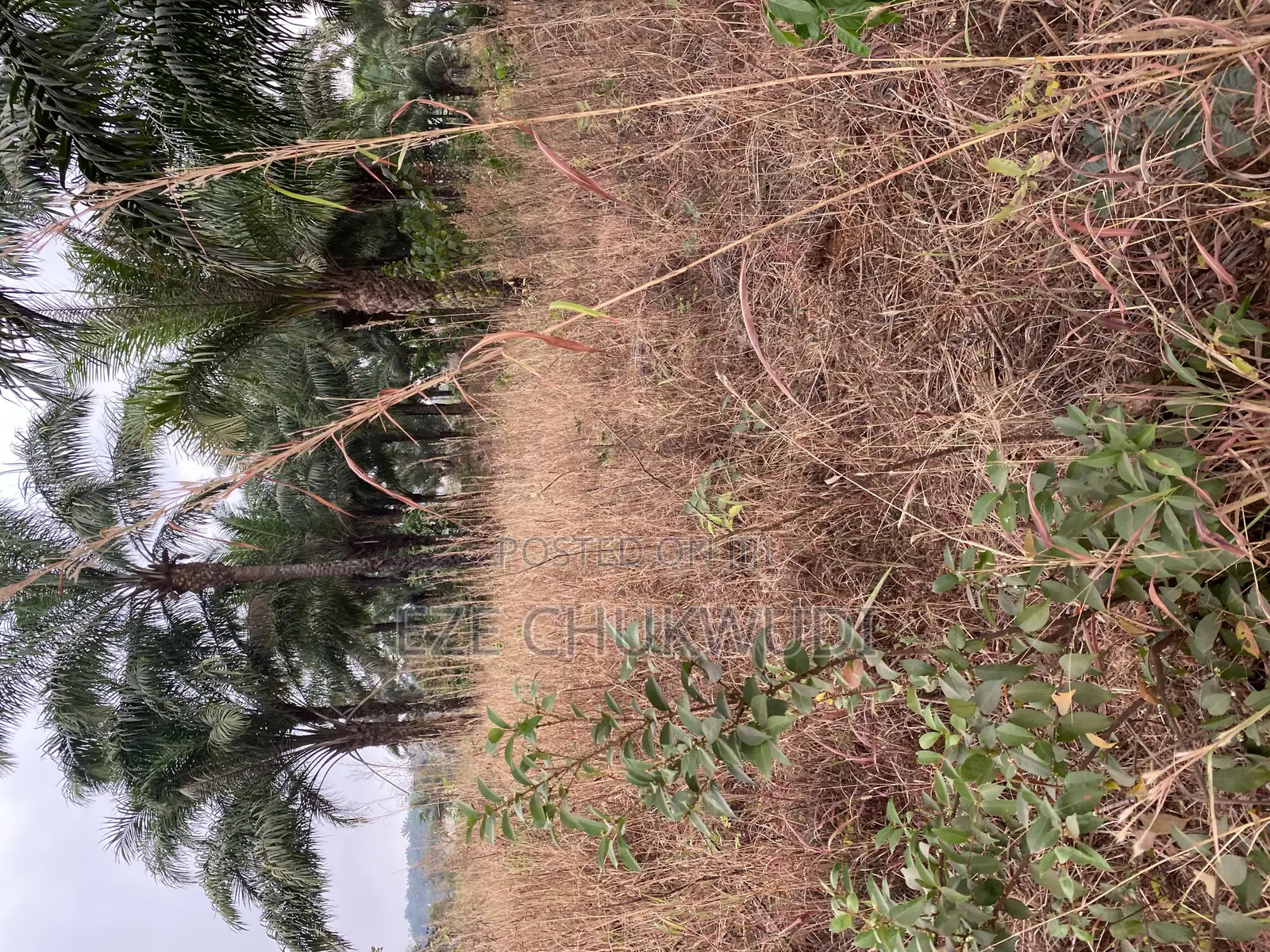 Available Plot of Land in Nsukka