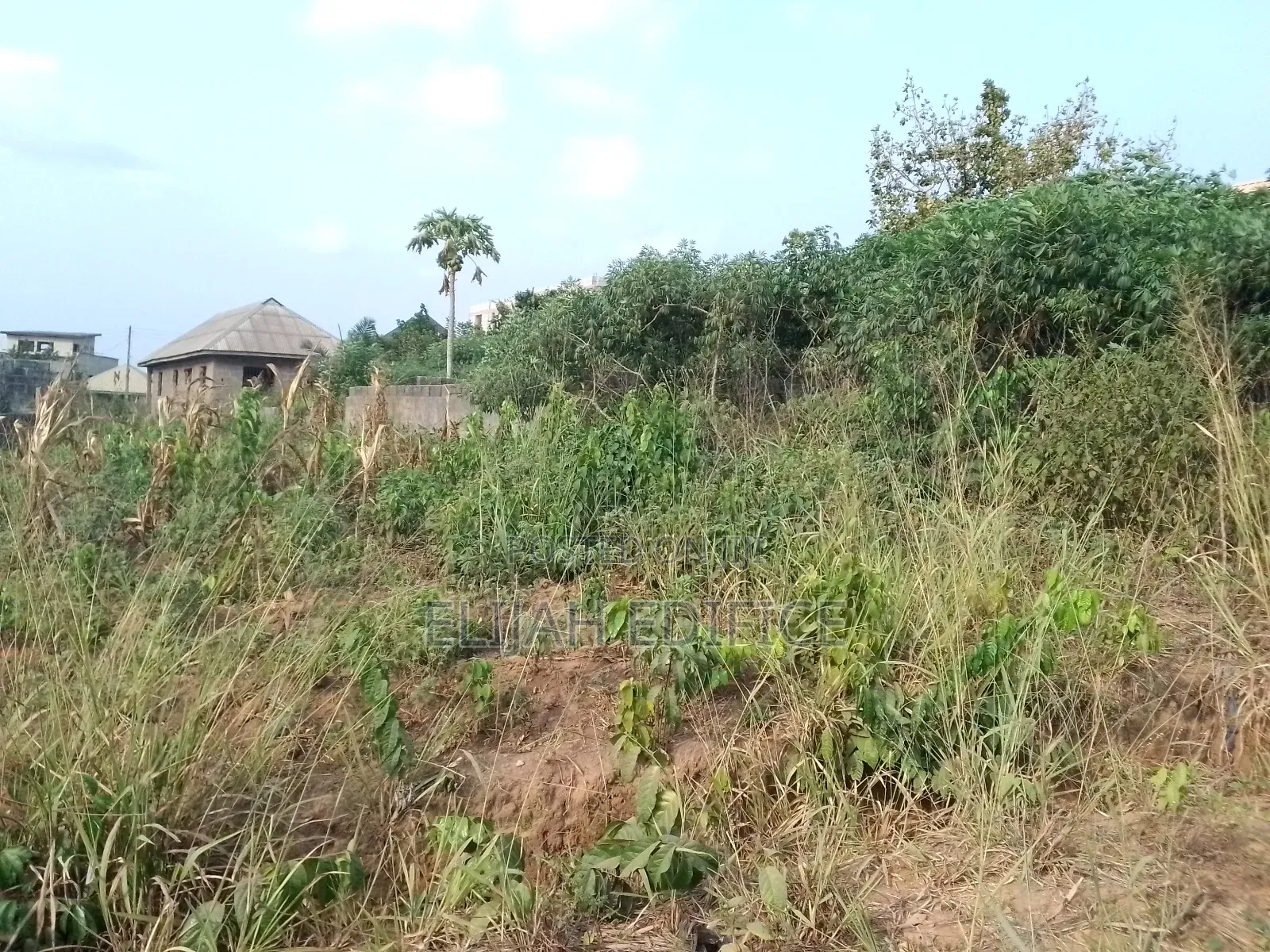 Dry Full Plot of Land at Park View Estate,Off Ijede Ikorodu in Ikorodu