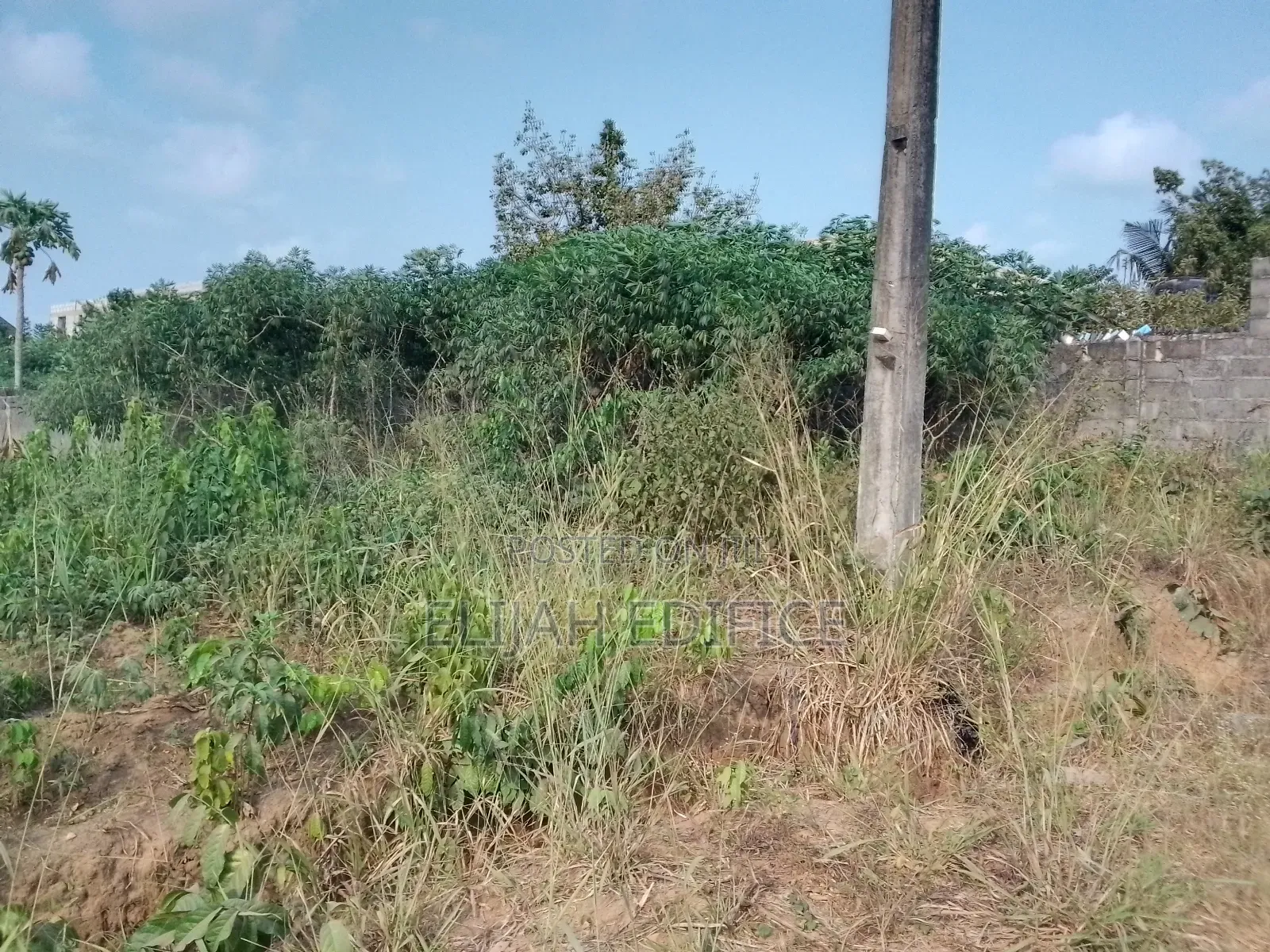 Dry Full Plot of Land at Park View Estate,Off Ijede Ikorodu in Ikorodu