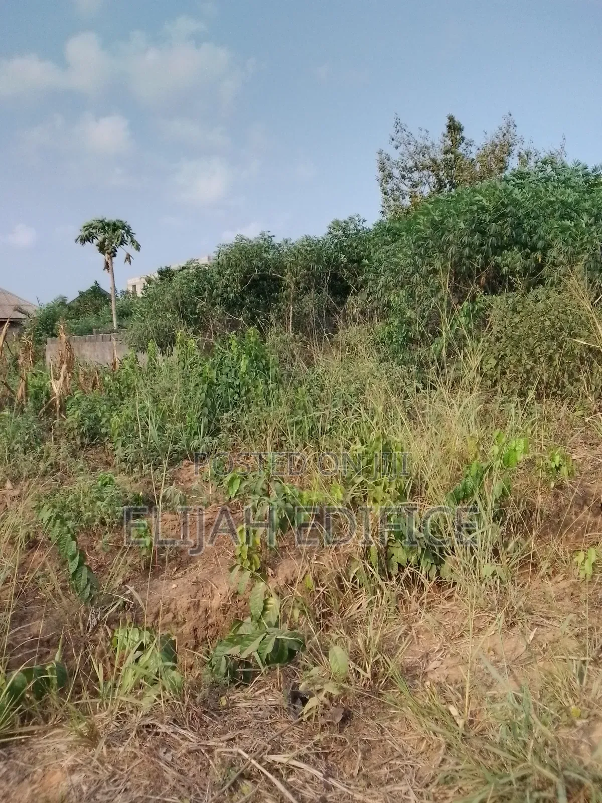 Dry Full Plot of Land at Park View Estate,Off Ijede Ikorodu in Ikorodu