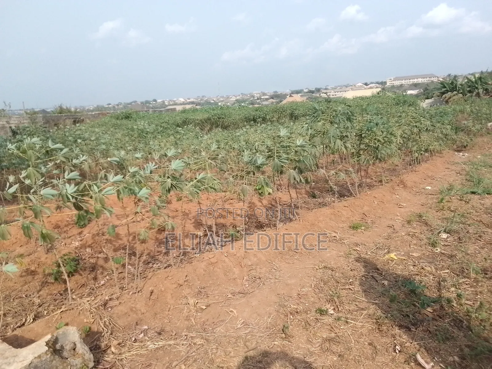 Flat Dry Full Plot of Land at Park View Off Ijede Ikorodu in Ikorodu