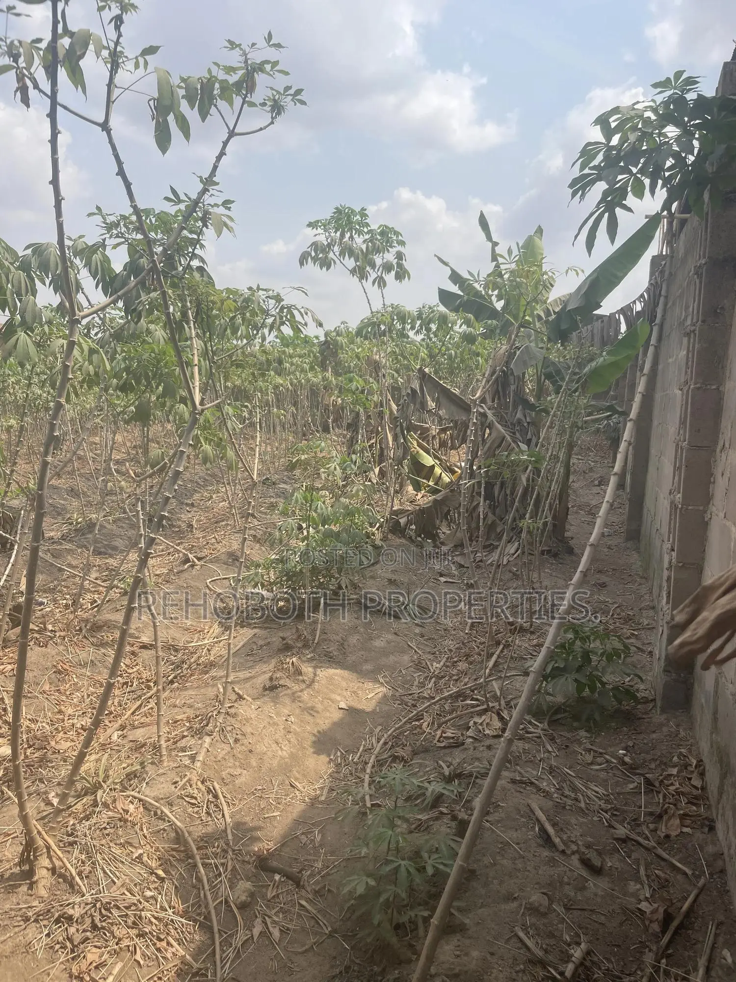 2plot Land 4sale at Jankata Akala Express in Ibadan