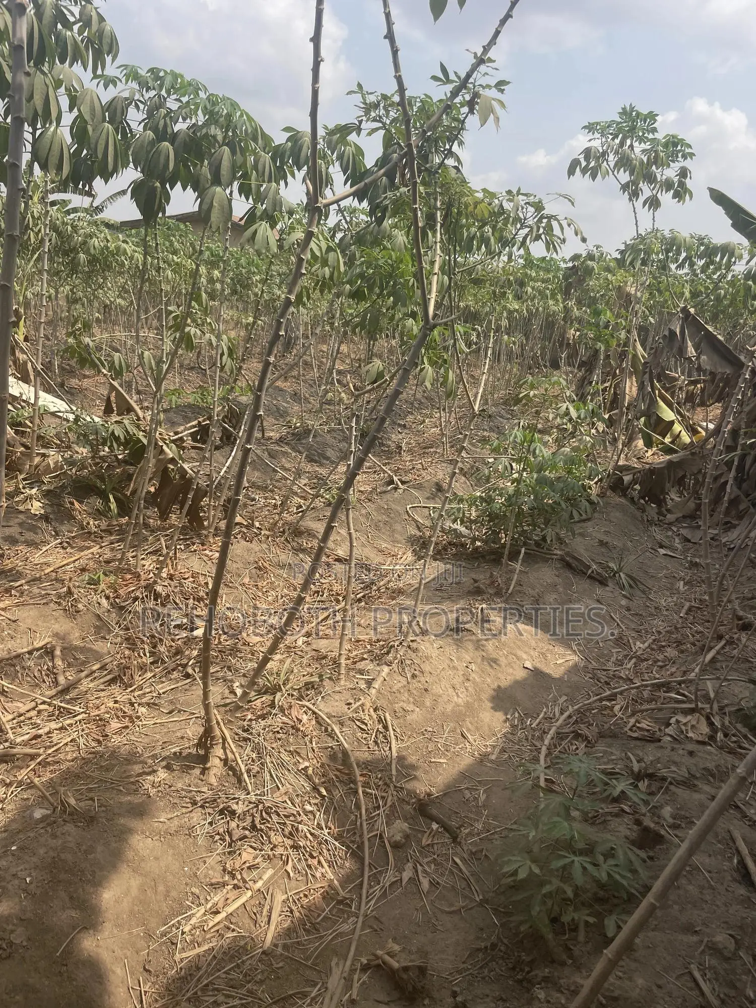 2plot Land 4sale at Jankata Akala Express in Ibadan