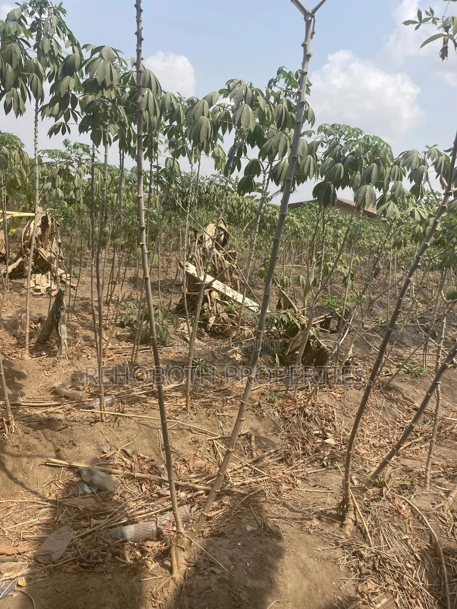 2plot Land 4sale at Jankata Akala Express in Ibadan