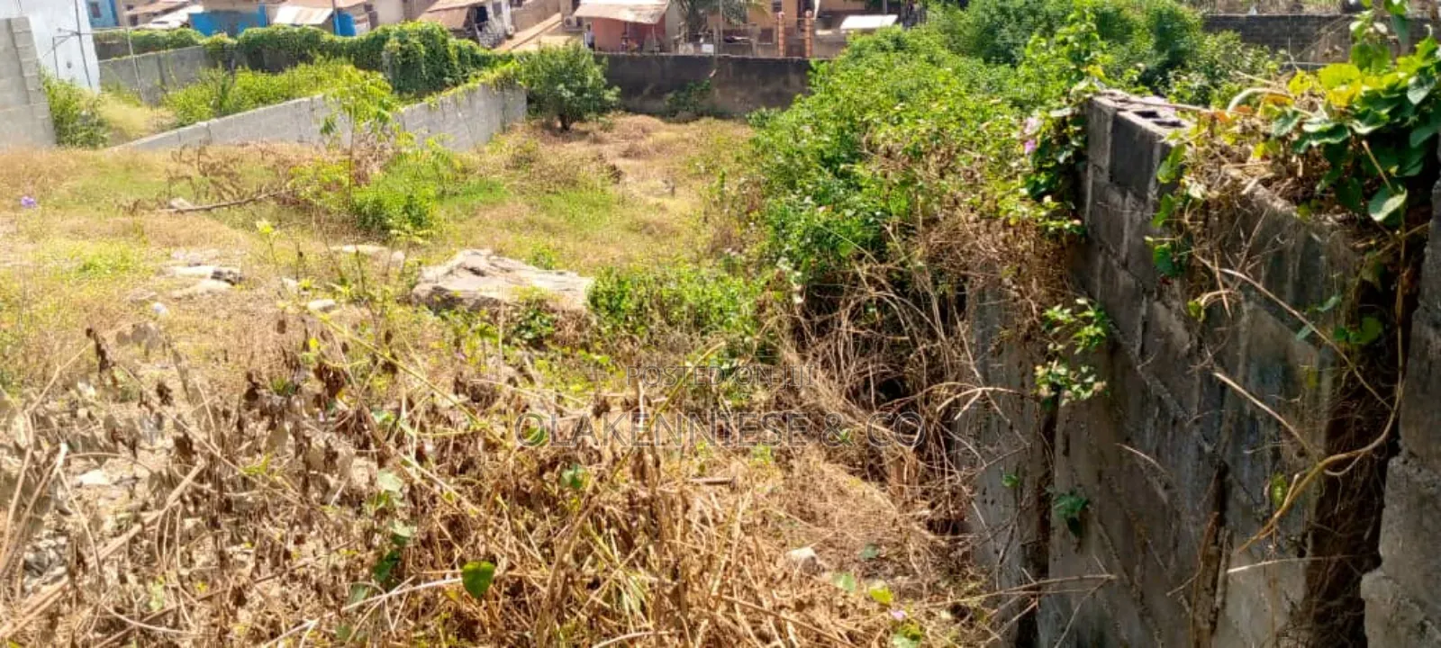 Half Plot of Land in Isawo