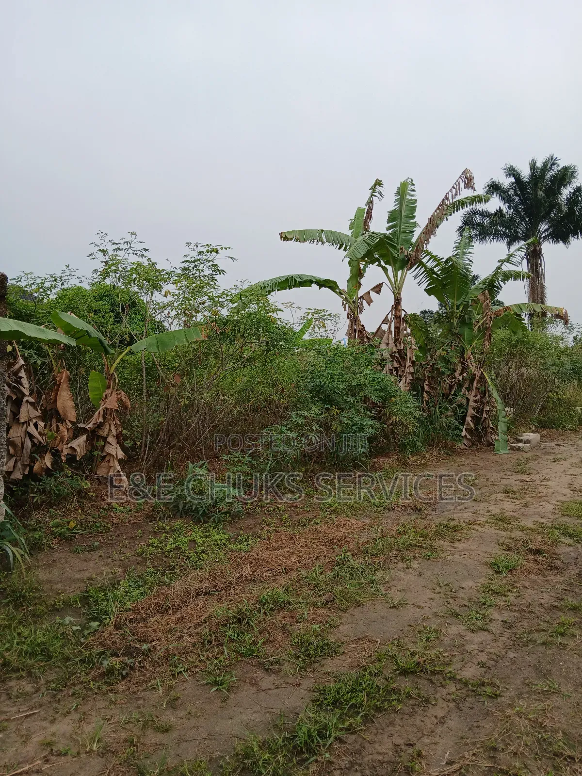 Buy and Build One and Half Plots for Sale at Eneka in Obio-Akpor