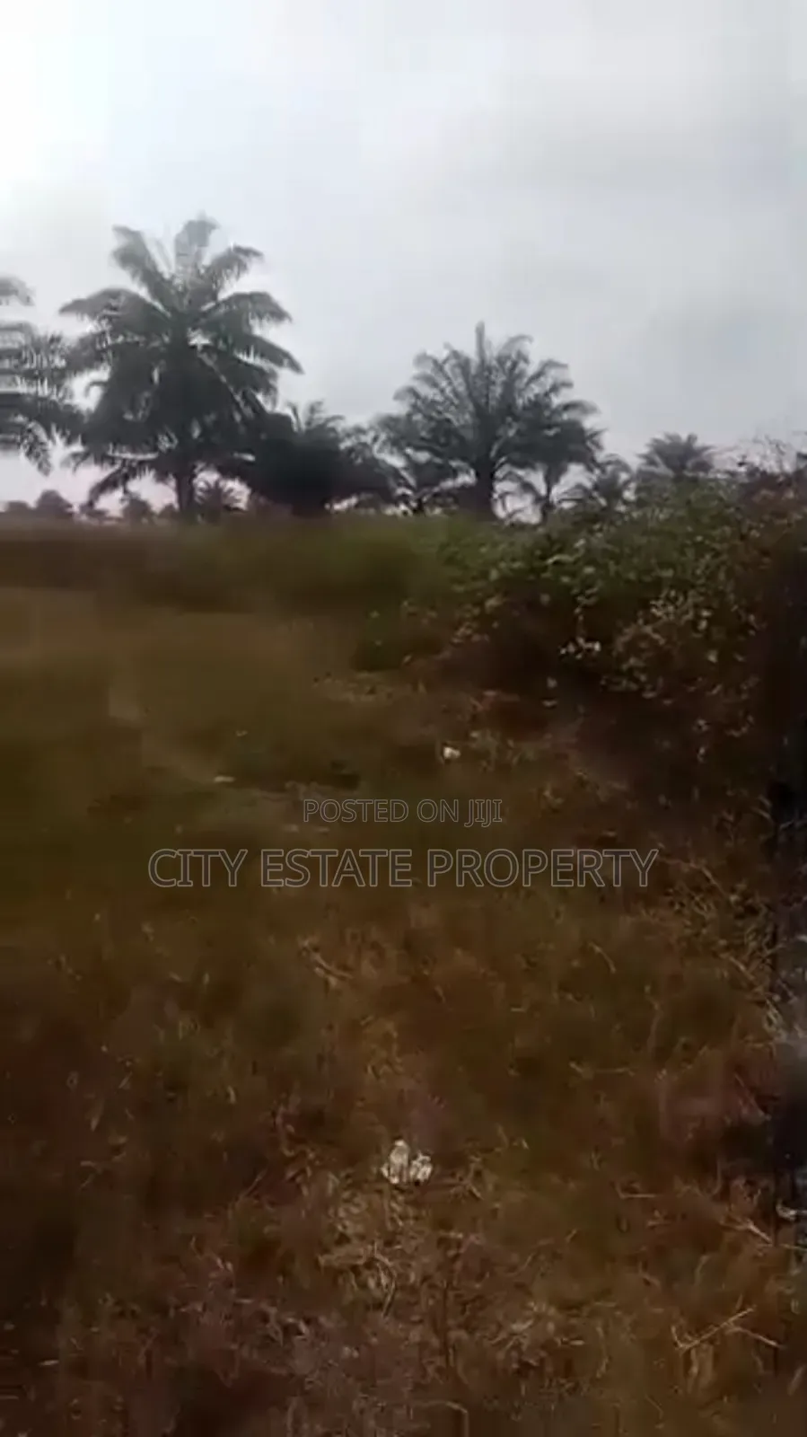 Land for Sale at Omagwa in Omagwa